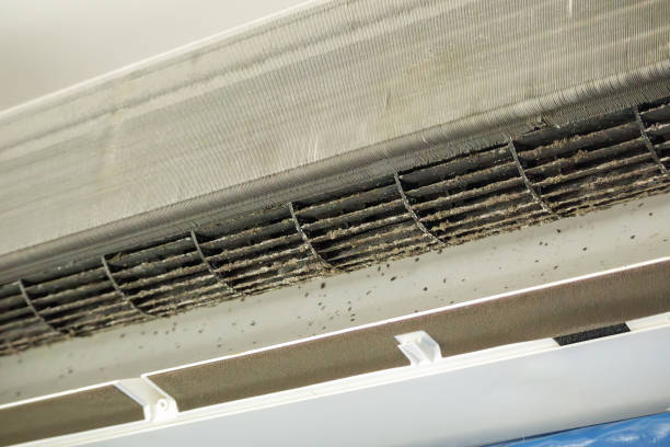 Best Air Duct Inspection  in Tainter Lake, WI